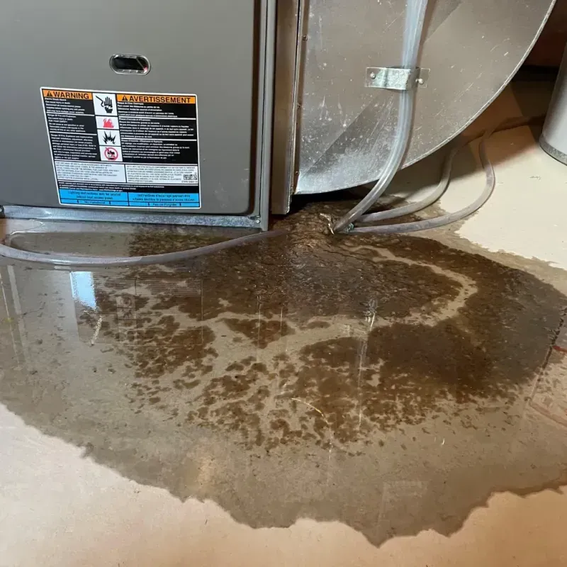 Appliance Leak Cleanup in Lincoln County, NC